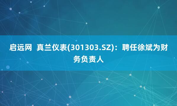 启远网  真兰仪表(301303.SZ)：聘任徐斌为财务负责人