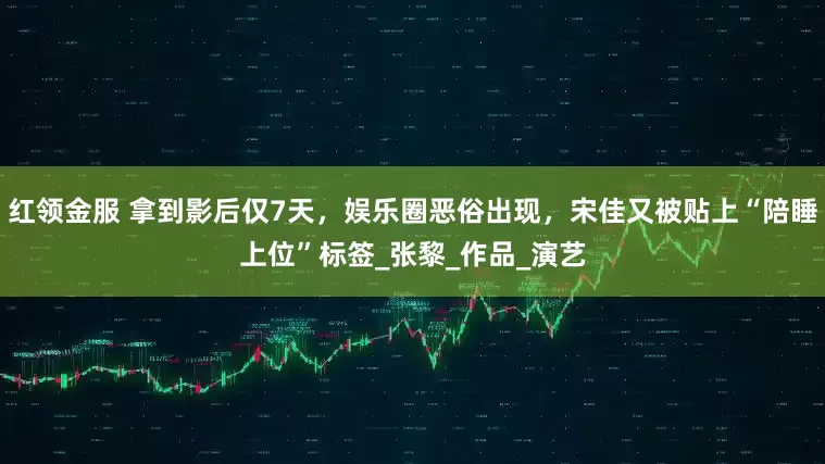 红领金服 拿到影后仅7天，娱乐圈恶俗出现，宋佳又被贴上“陪睡上位”标签_张黎_作品_演艺