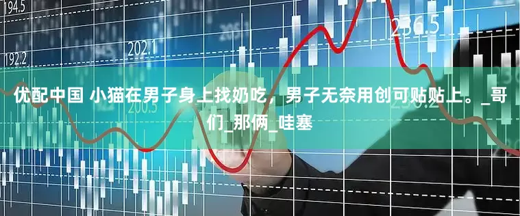 优配中国 小猫在男子身上找奶吃，男子无奈用创可贴贴上。_哥们_那俩_哇塞